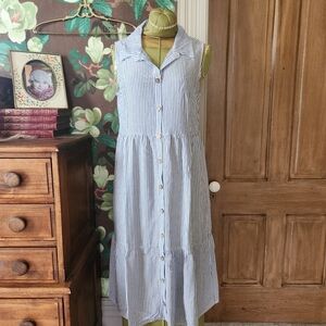 NAIF Blue & White Striped Sleeveless Button Front Dress  Large